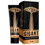 Gigant Gel na zvětšení penisu - cena, lékárny, recenze, leták, diskuze